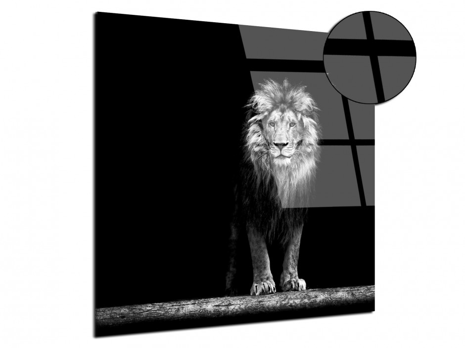 Tableau photo sur plexiglas Le Lion