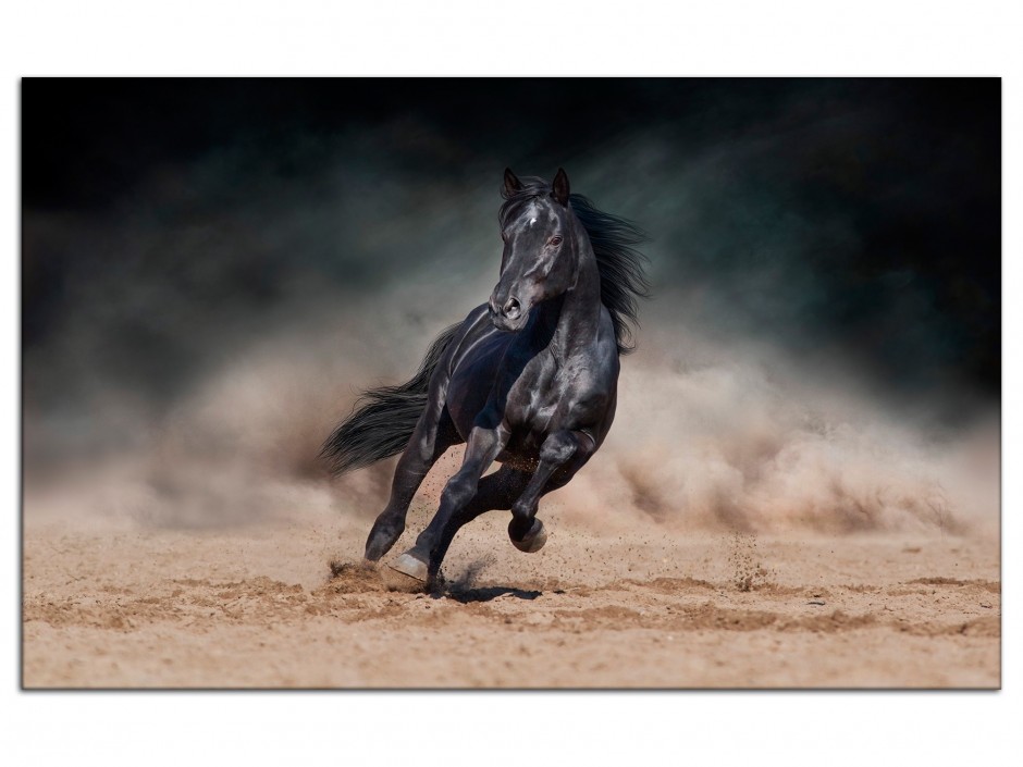 Tableau déco aluminium Cheval Noir au galop