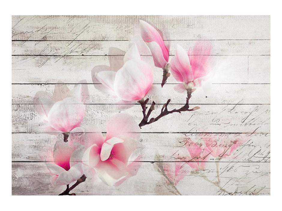 Papier peint - Gentleness of the Magnolia