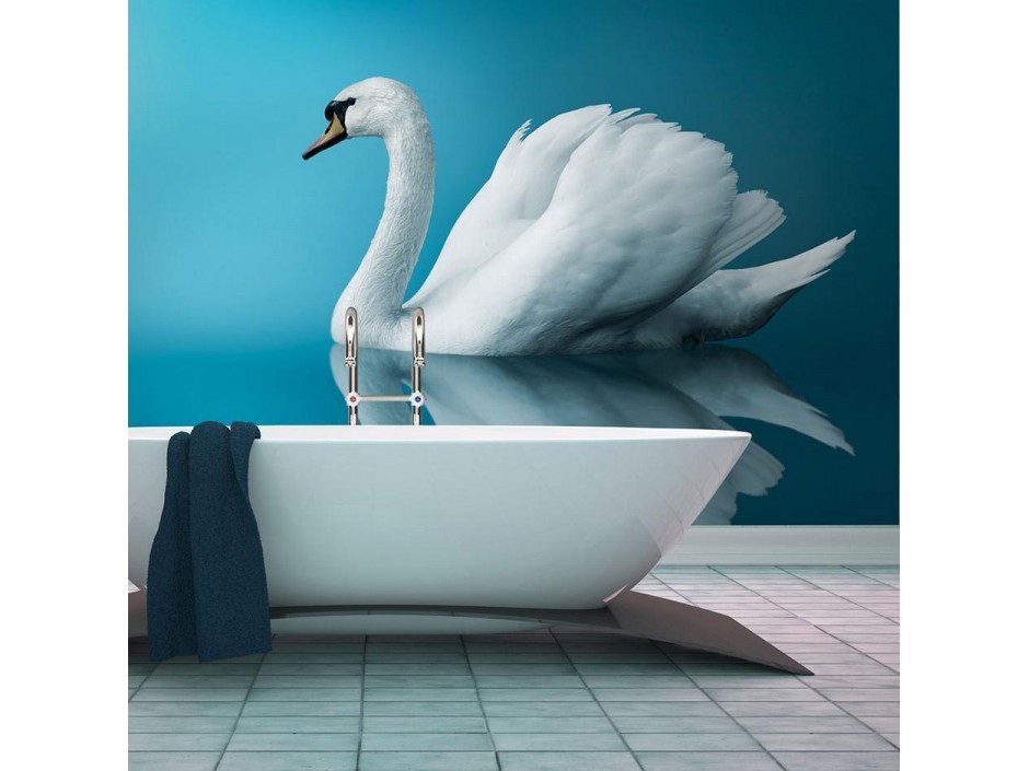 Papier peint - swan - reflection