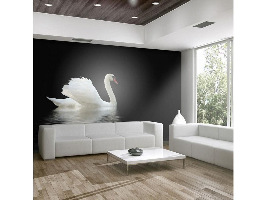 Papier peint - swan (black and white)