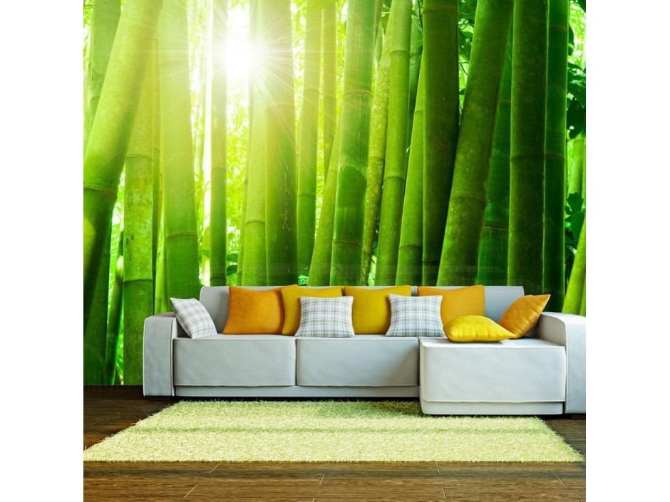Papier peint - Sun and bamboo