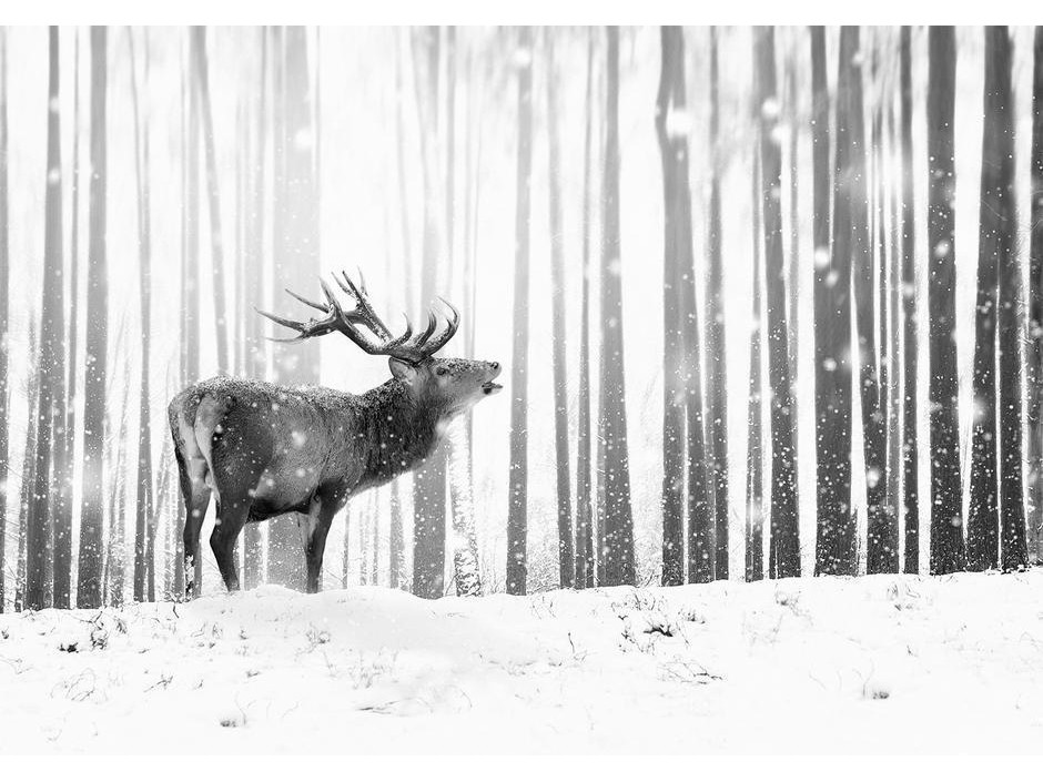 Papier peint - Deer in the Snow (Black and White)