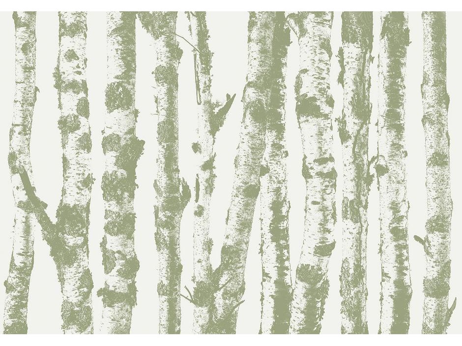 Papier peint - Stately Birches - Third Variant