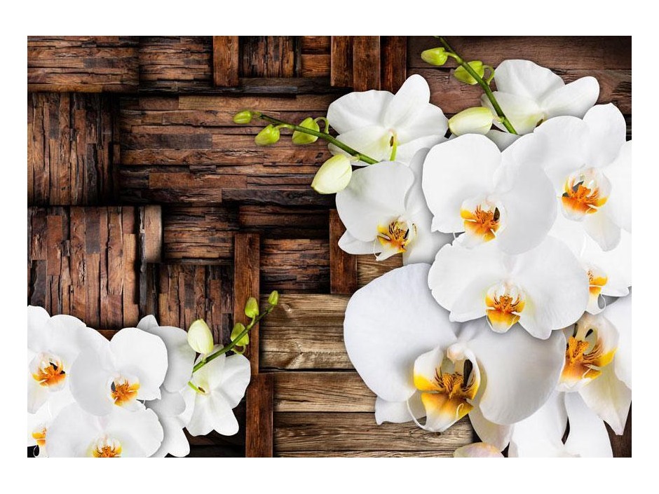 Papier peint - Blooming orchids