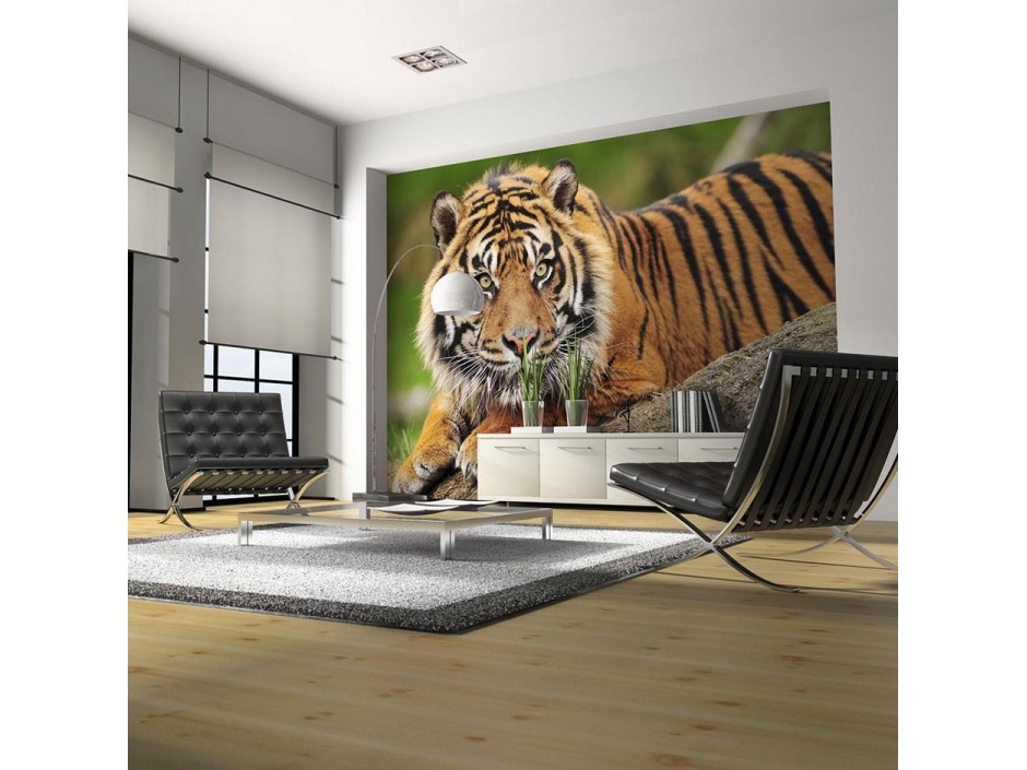 Papier peint - Sumatran tiger