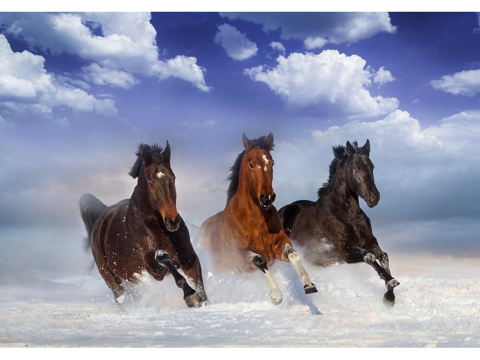 Papier peint - Horses in the Snow