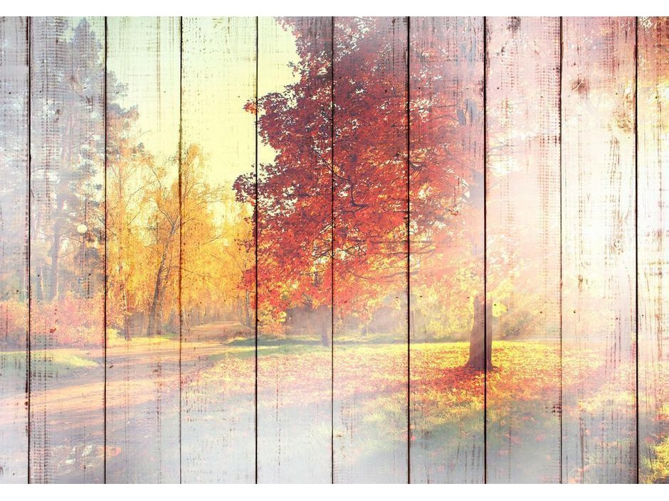 Papier peint - Autumn Sun