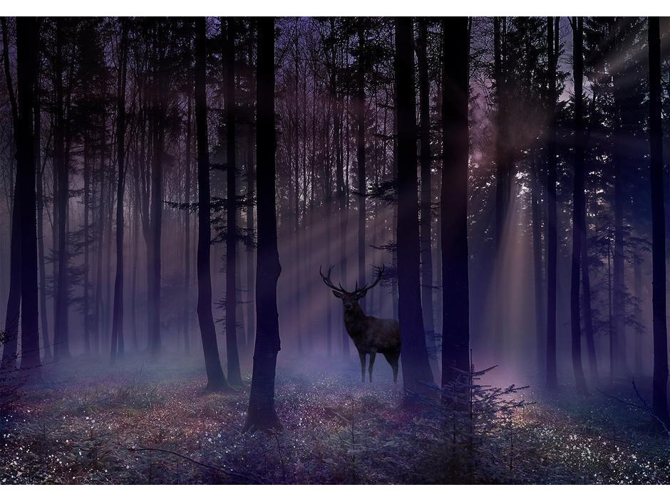 Papier peint - Mystical Forest - Second Variant
