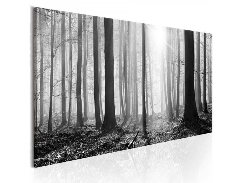 Tableau - Black and White Forest