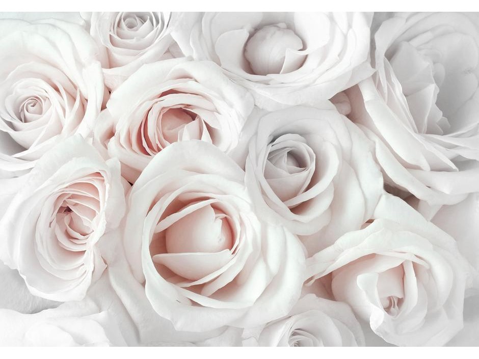 Papier peint - Satin Rose (Pink)