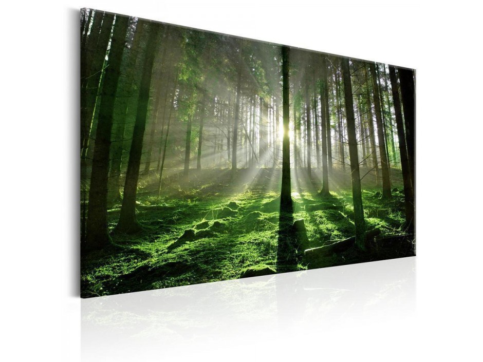 Tableau - Emerald Forest II
