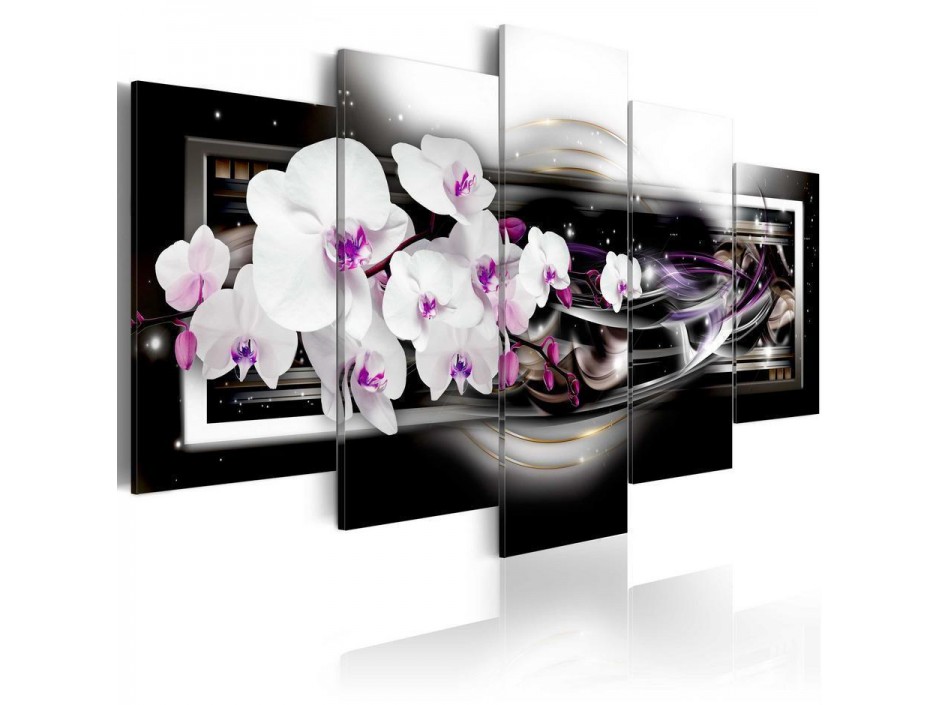 Tableau - Orchids on a black background