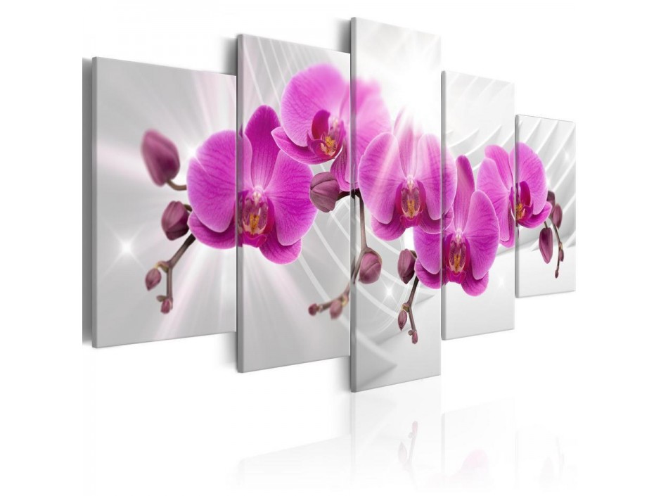 Tableau - Abstract Garden: Pink Orchids