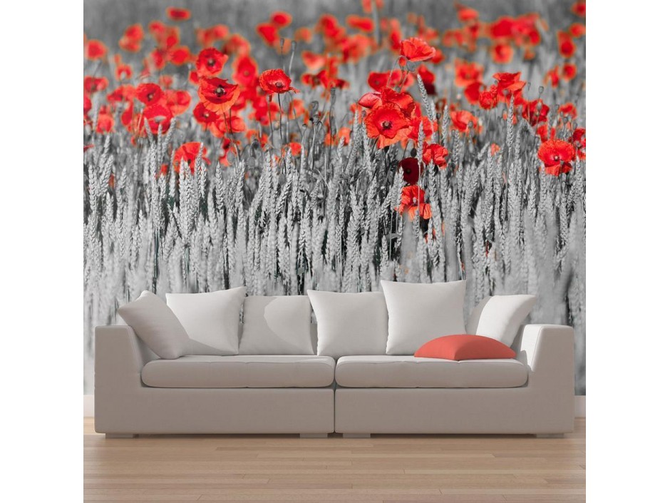 Papier peint - Red poppies on black and white background