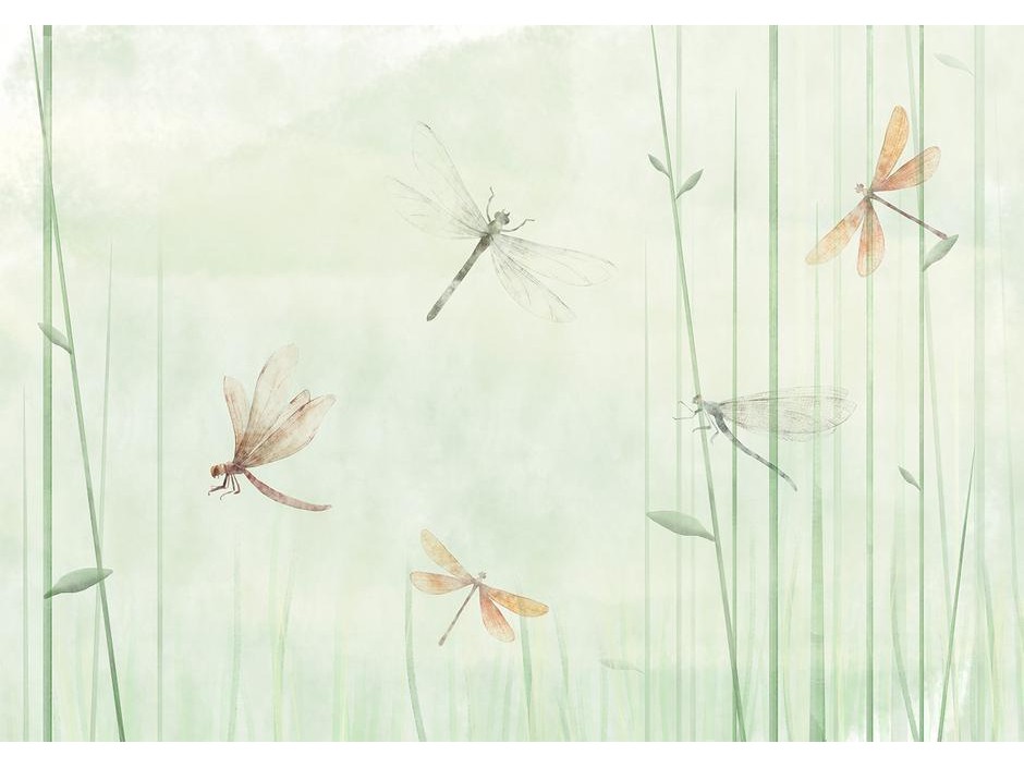 Papier peint - Dragonflies in the Meadow