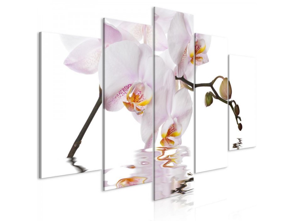 Tableau - Delightful Orchid (5 Parts) Wide
