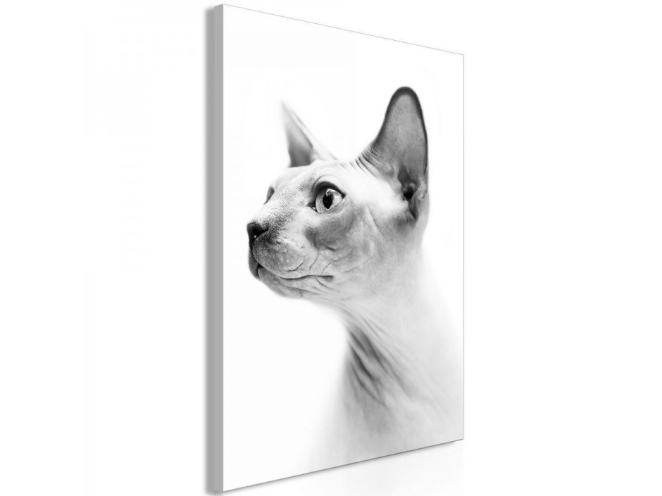 Tableau - Hairless Cat (1 Part) Vertical