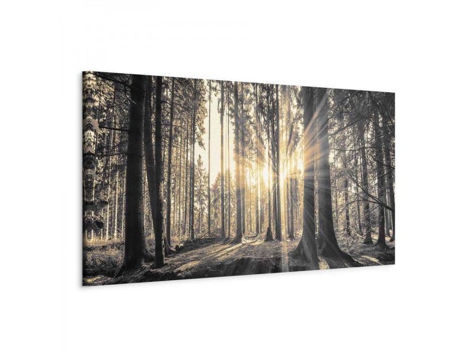 Tableau - Forest Sun
