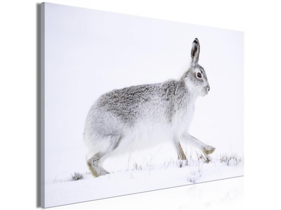 Tableau - Hare (1 Part) Wide
