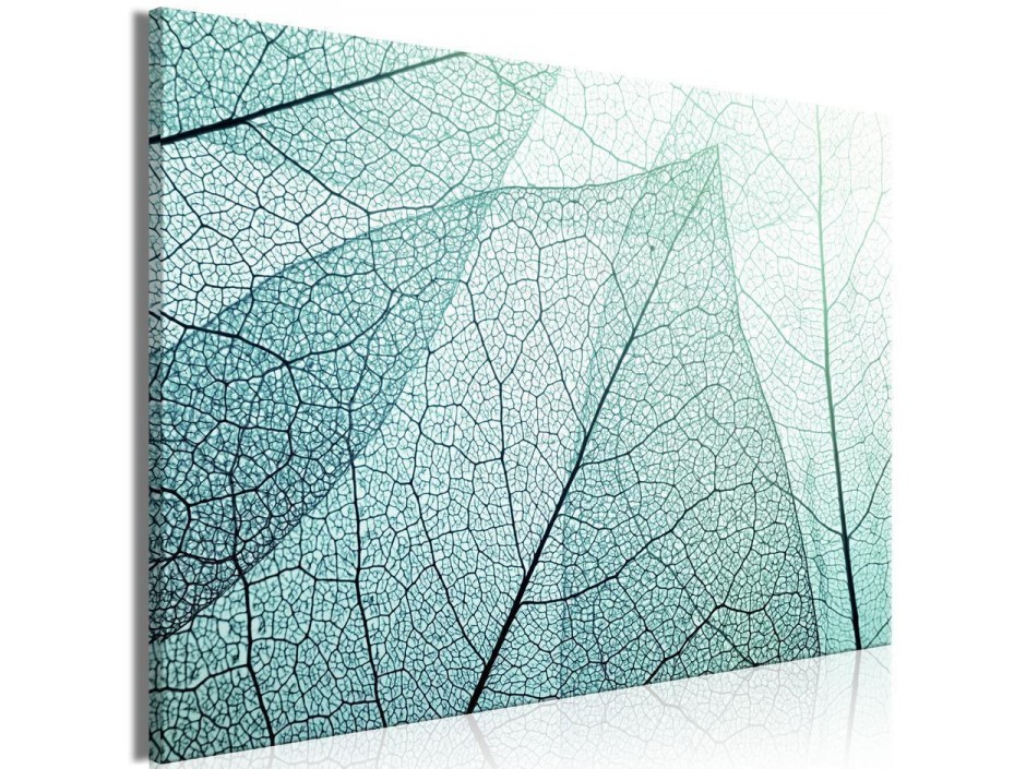 Tableau - Macroflora (1 Part) Wide