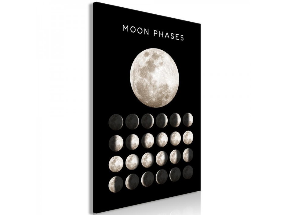 Tableau - Moon Phases (1 Part) Vertical