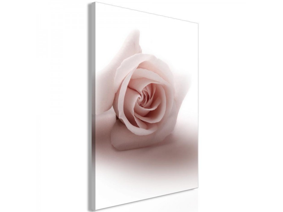 Tableau - Floral Glamour Glow (1-part) - Delicate and Pastel Pink Rose
