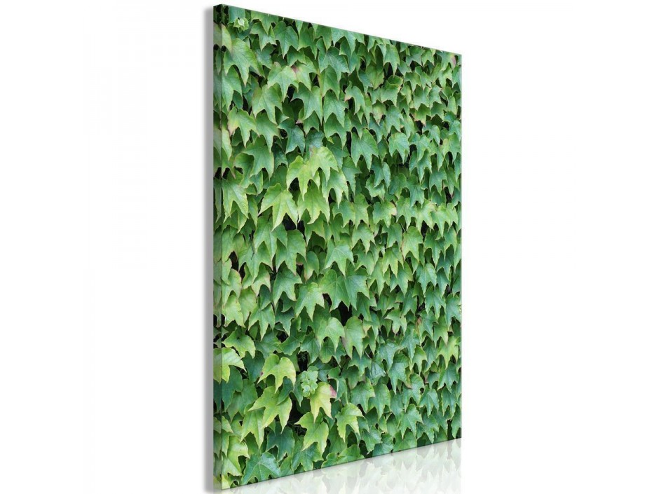 Tableau - Thick Ivy (1 Part) Vertical