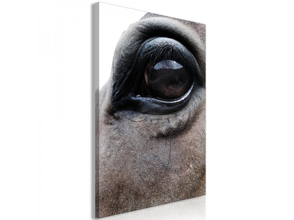 Tableau - Honest Eyes (1 Part) Vertical