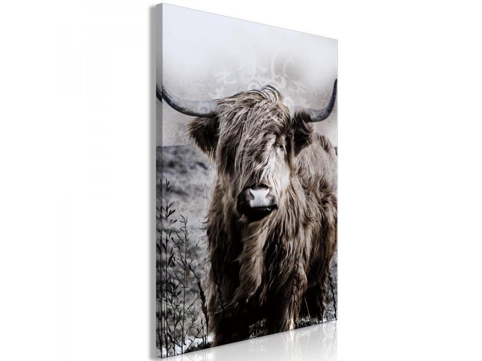 Tableau - Highland Cow in Sepia