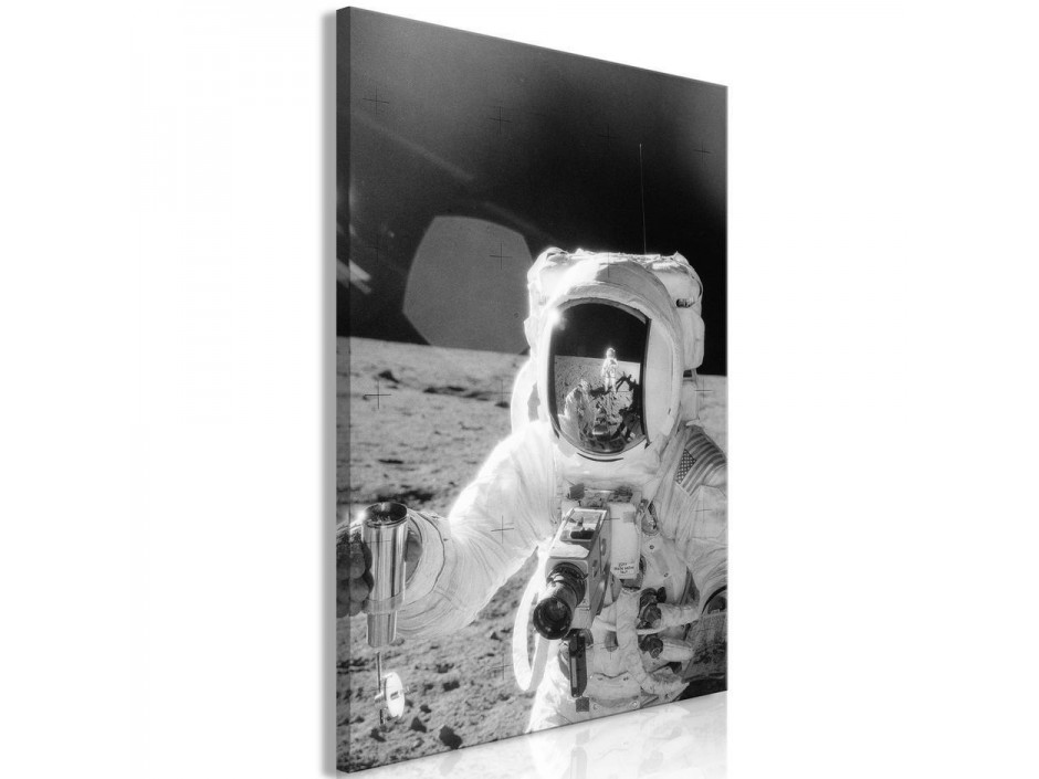 Tableau - Profession of Astronaut (1 Part) Vertical