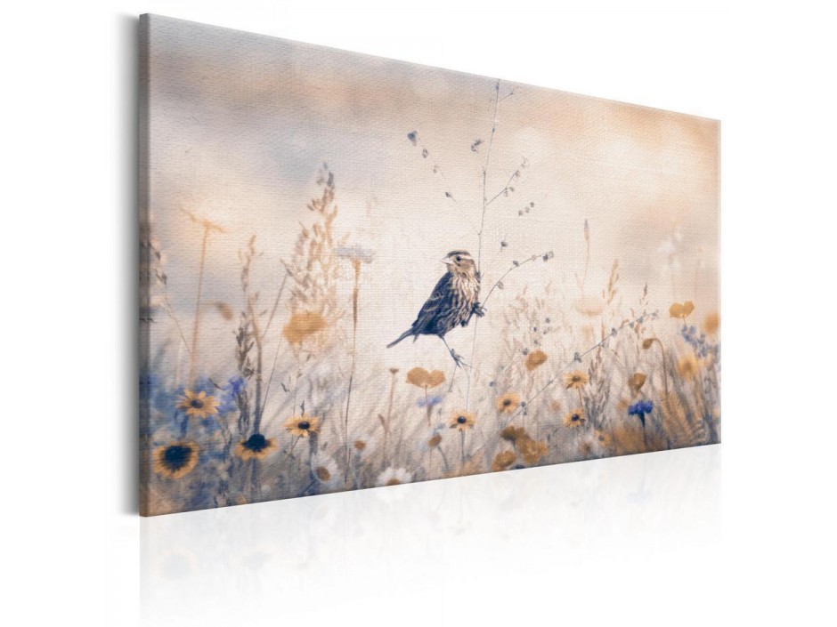 Tableau - August Melody