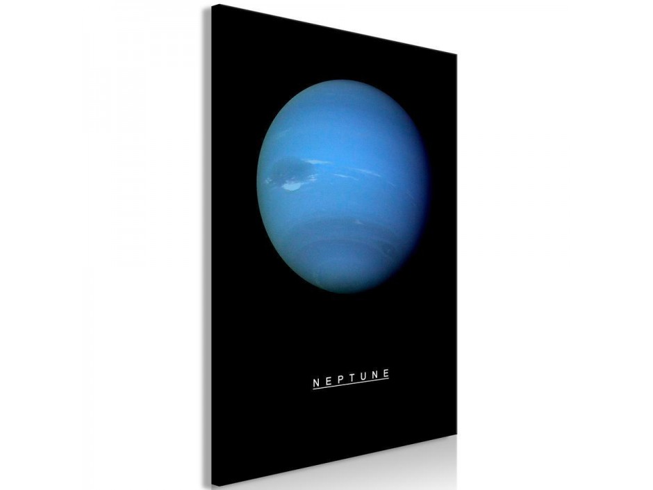Tableau - Neptune (1 Part) Vertical