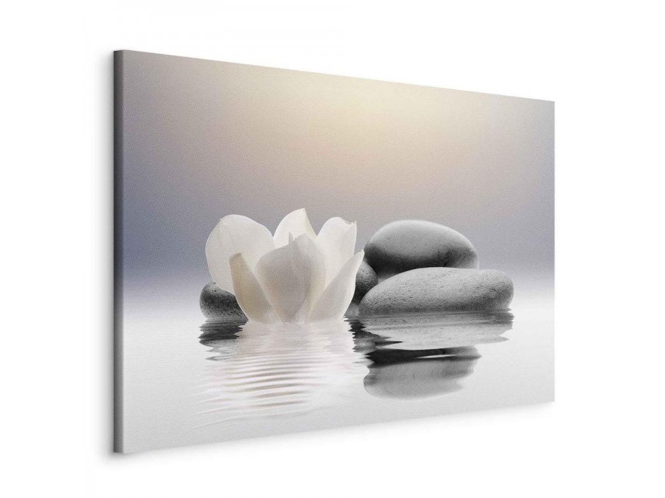 Tableau - Garden of Calm