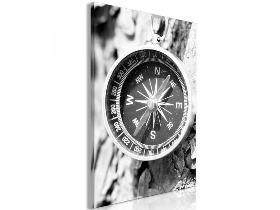 Tableau - Direction of the Road (1-part) - Black and White Compass on Tree Background