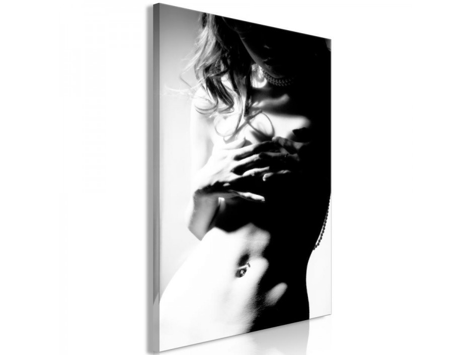 Tableau - Gentleness of Contrast (1-part) - Female Nude in Black and White