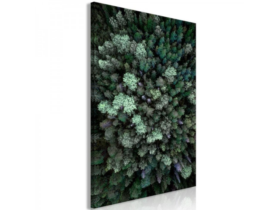 Tableau - Flying Over Forest (1 Part) Vertical
