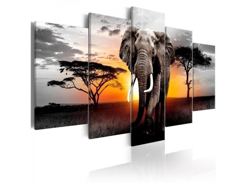 Tableau - Elephant at Sunset