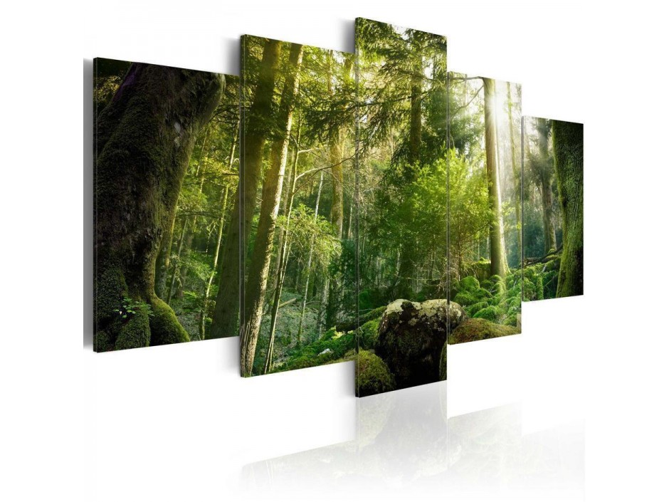 Tableau - The Beauty of the Forest