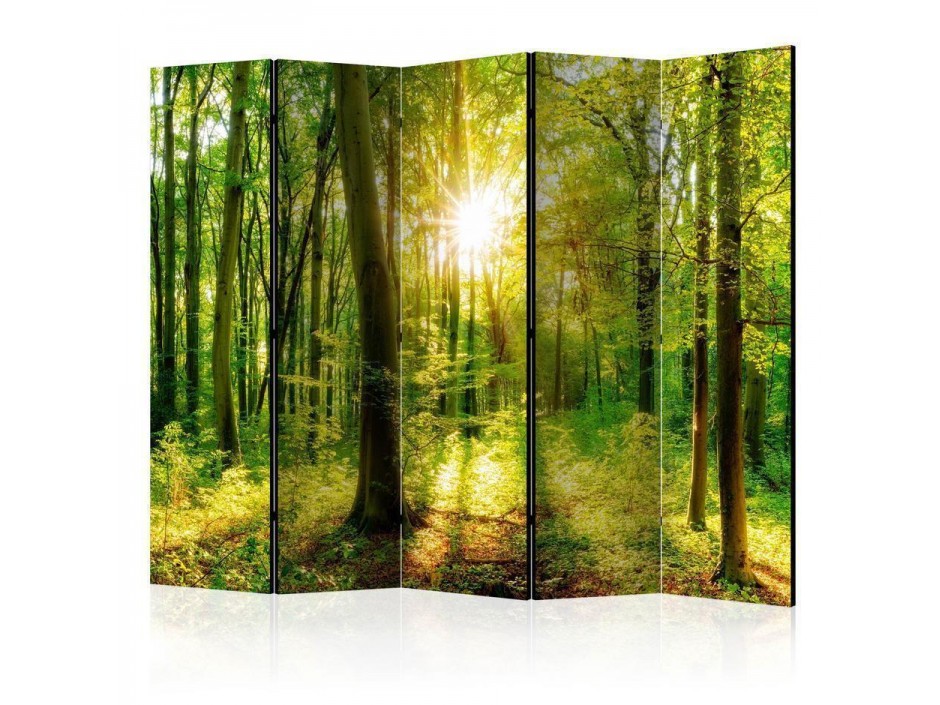 Paravent - Forest Rays II