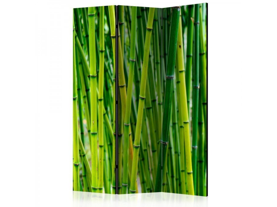 Paravent - Bamboo Forest