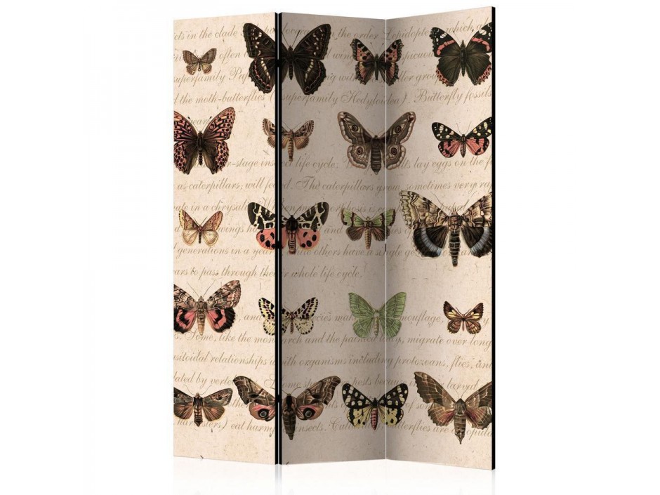 Paravent - Retro Style: Butterflies