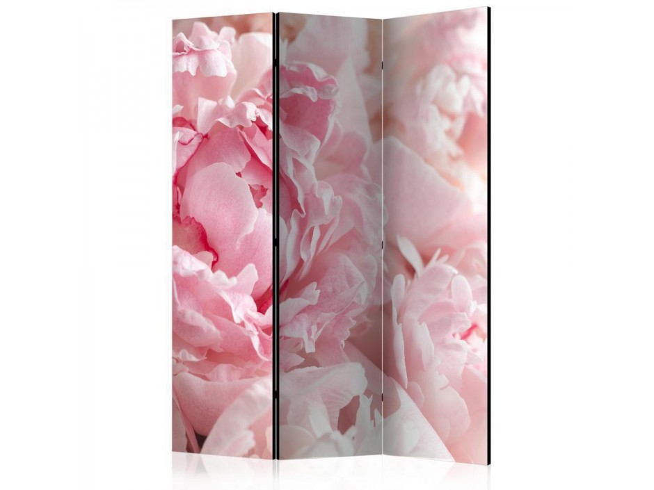 Paravent - Sweet Peonies