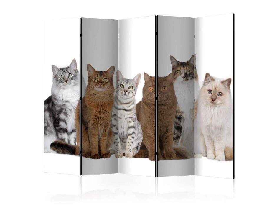 Paravent - Sweet Cats II