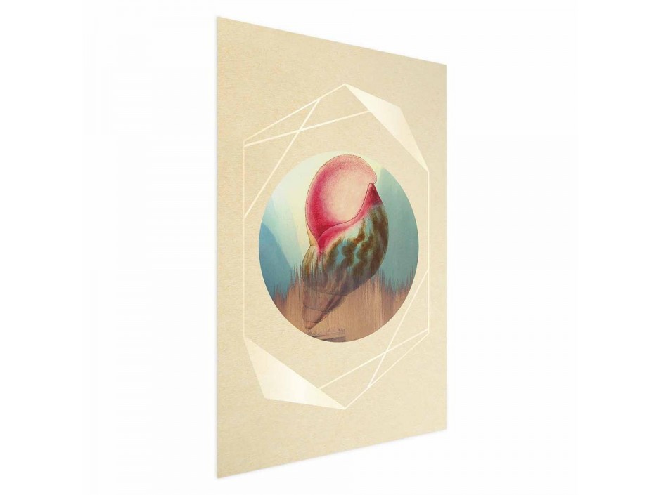 Poster - Shell