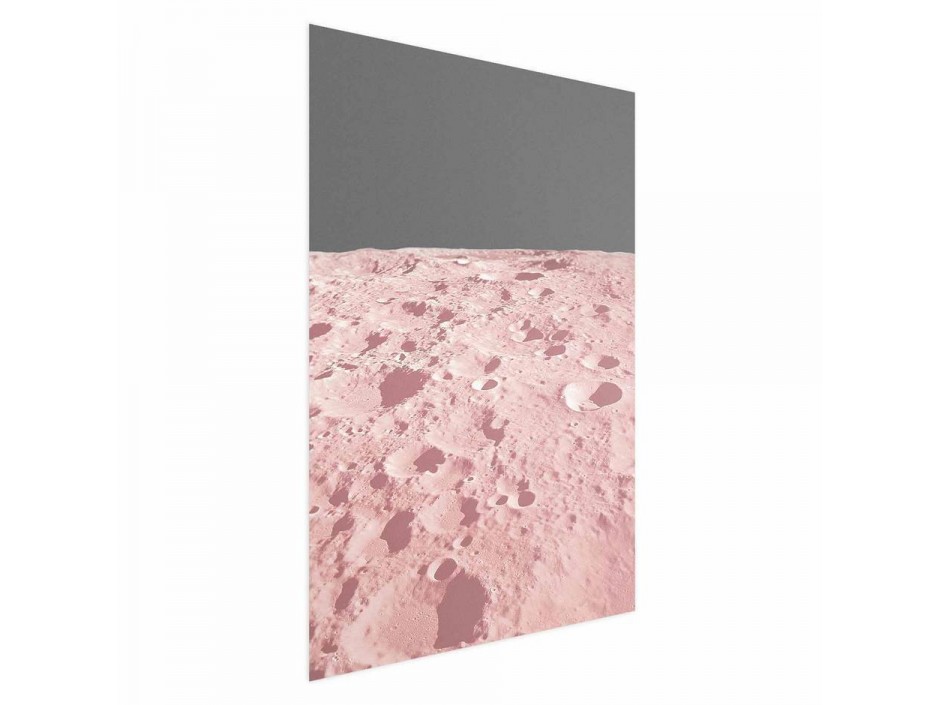 Poster - Pink Moon