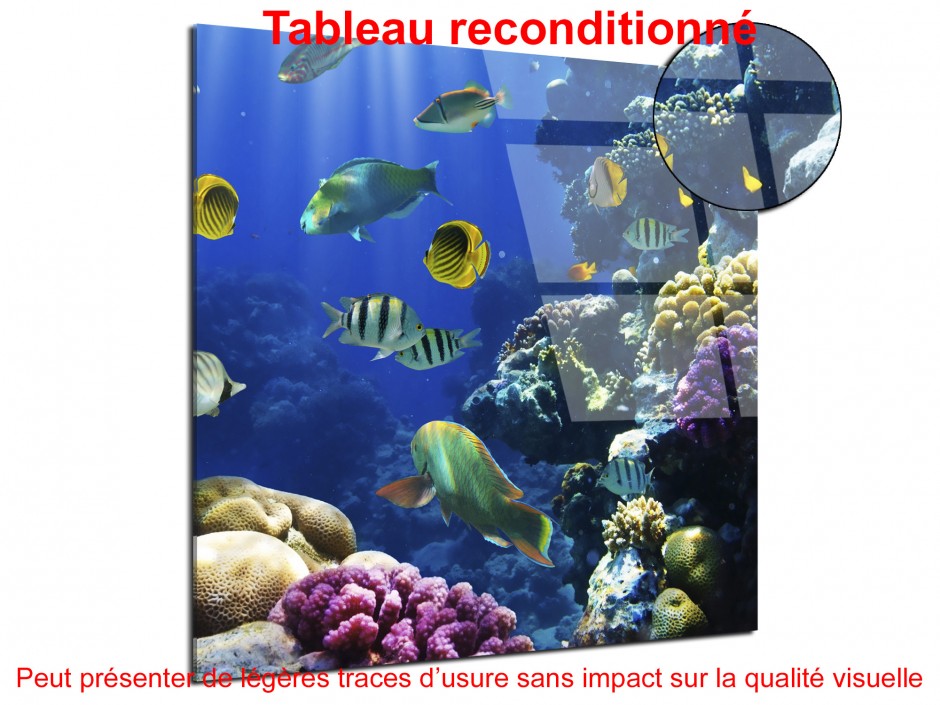 Tableau déco plexiglas le monde de Nemo