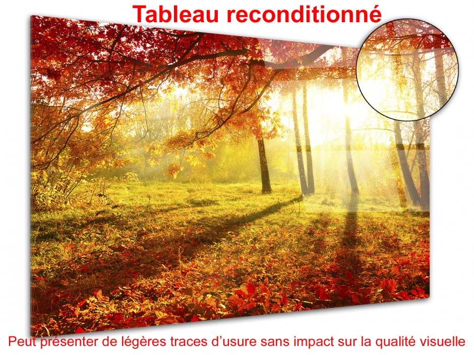 Tableau déco plexiglas déco PAYSAGE AUTOMNAL