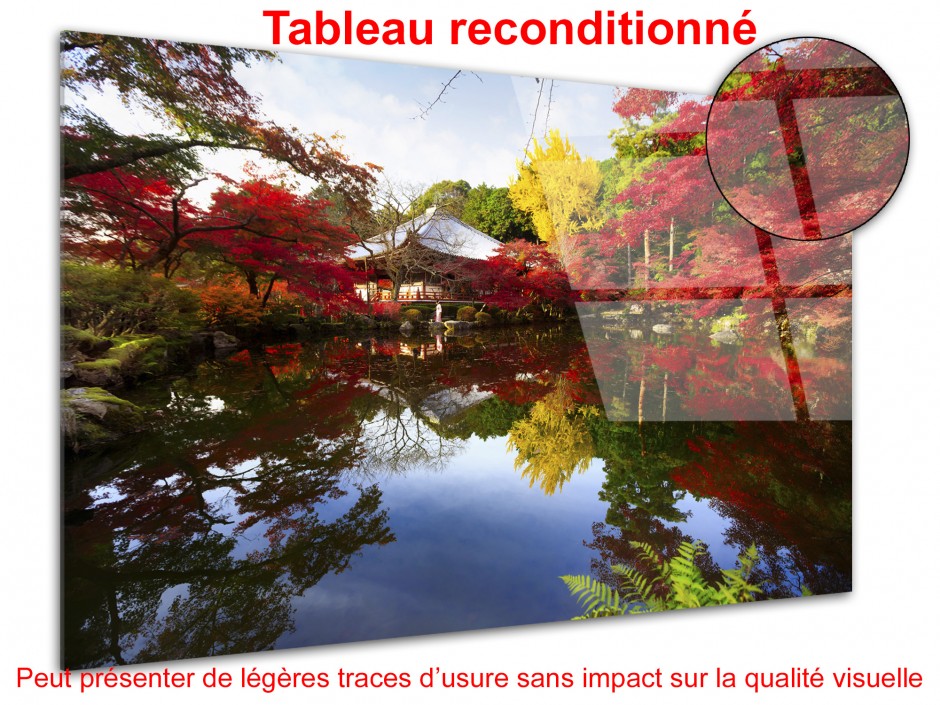 Tableau reconditionné plexiglas REFLET SUR LE LAC