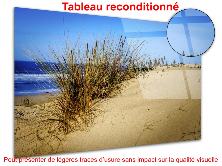 Tableau déco plexiglas photo LA DUNE DES LANDES